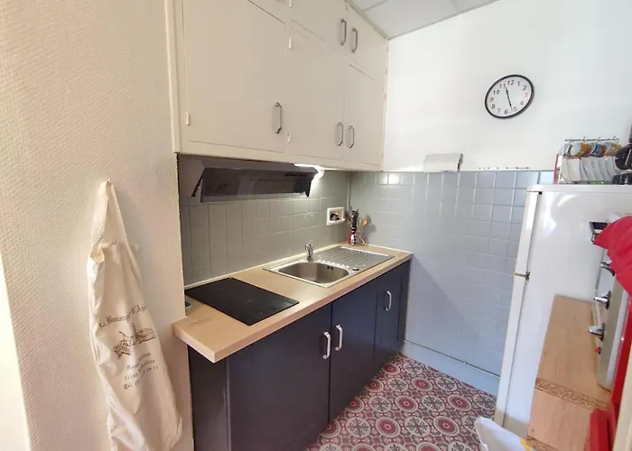 Les 3 Renards, T2 Bis, Parking, Centre Luchon, Casier A Skis, 4 Personnes * Bagnères-de-Luchon